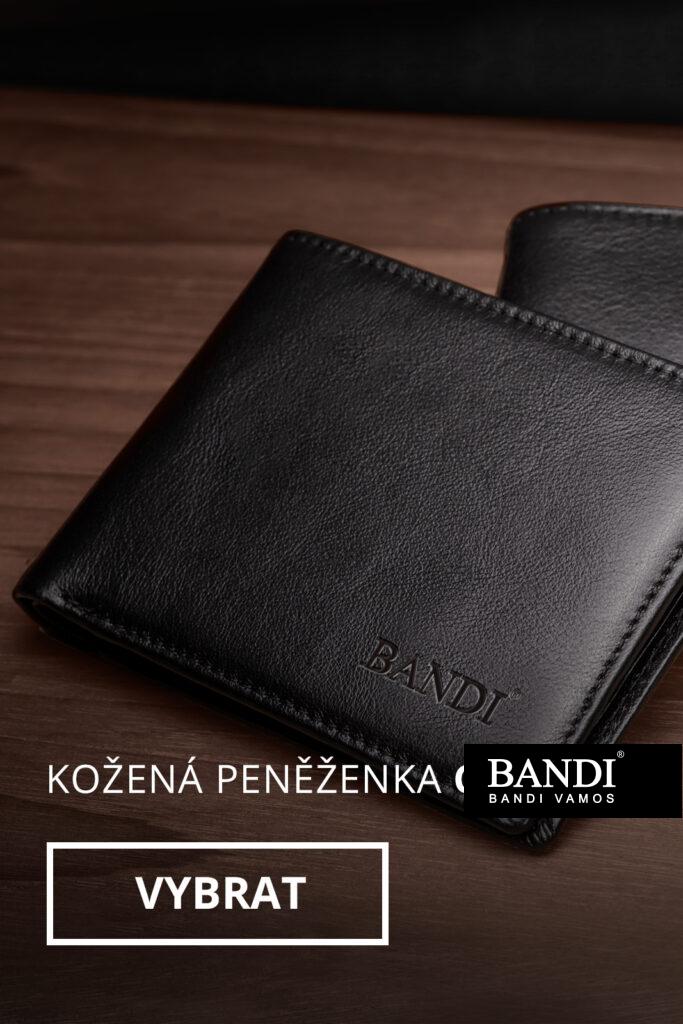 Pánská peněženka BANDI, Casetti, černá