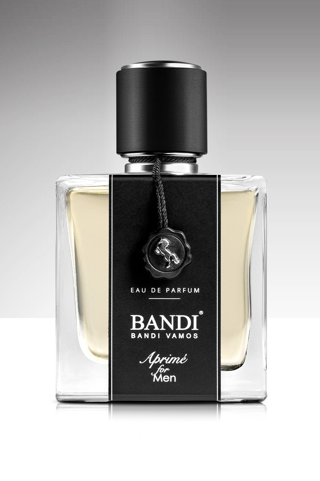 Originální pánská parfémová voda BANDI Aprimé for Men